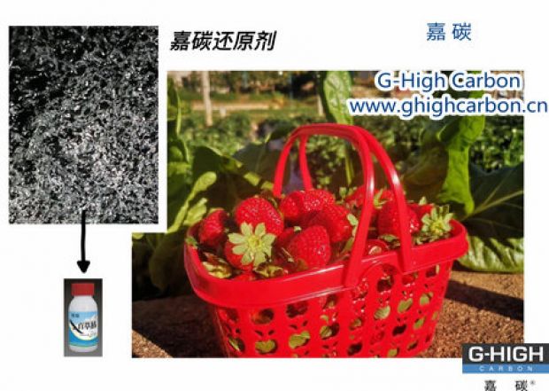 嘉碳還原劑守護(hù)“莓”好，甜蜜上線