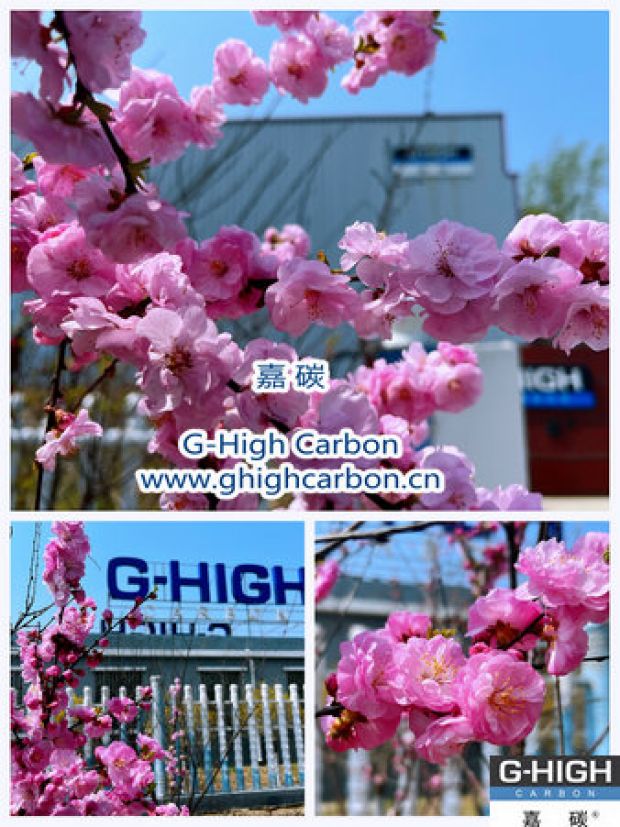 環(huán)保嘉碳，春花爛漫