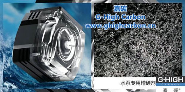 精鑄泵業(yè)，專業(yè)護(hù)航